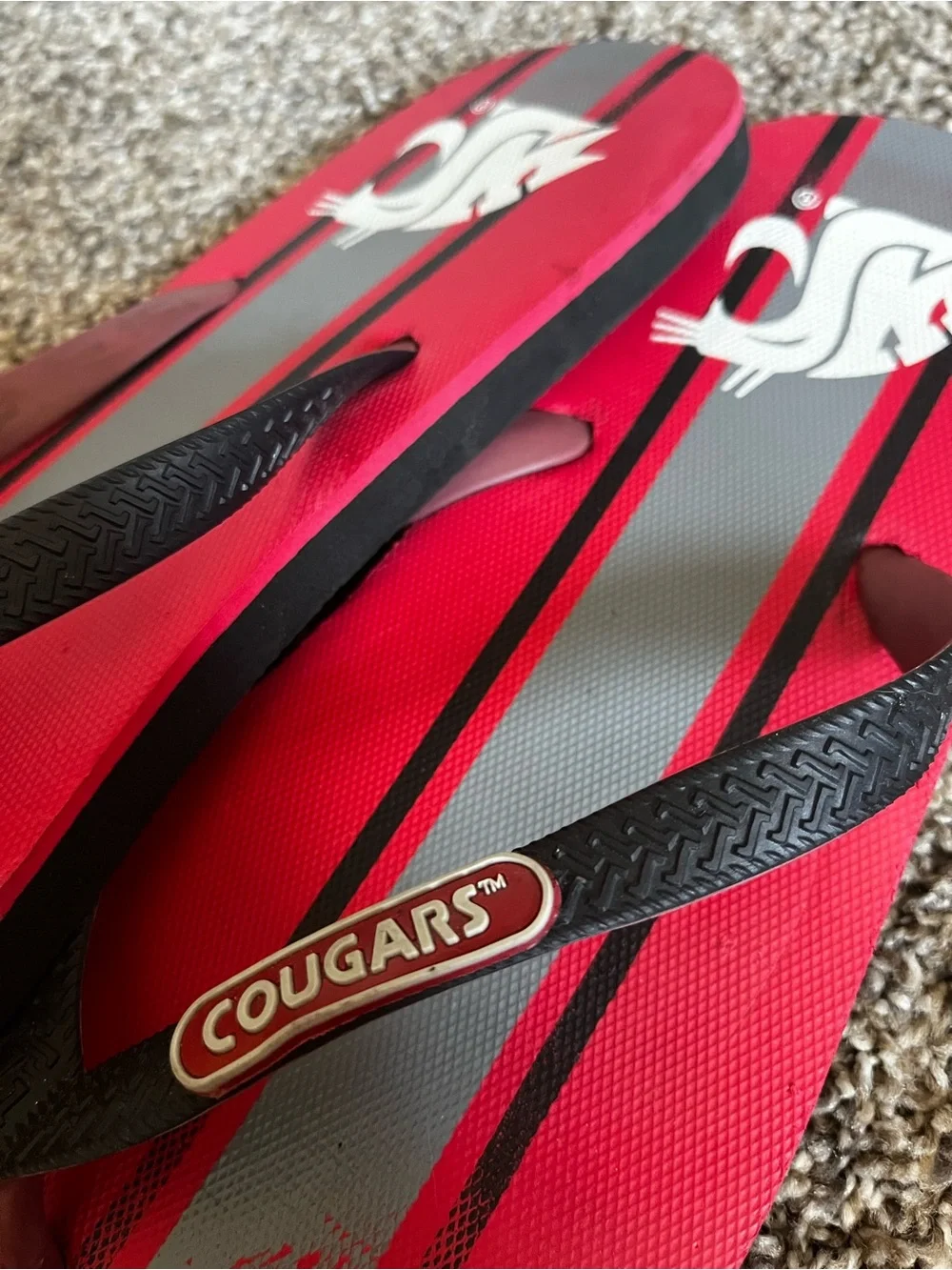 Cougar Men's Red & Gray Striped Flip Flops with Black Straps